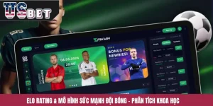 Elo Rating & Mô Hình Sức Mạnh Đội Bóng – Phân Tích Khoa Học