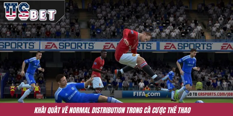 Khái quát về Normal Distribution trong cá cược thể thao