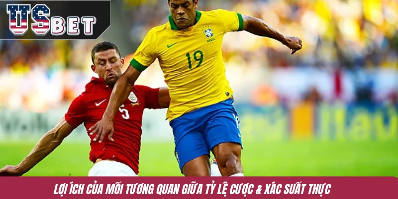 Lợi ích của mối tương quan giữa tỷ lệ cược & xác suất thực