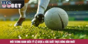 Mối Tương Quan Giữa Tỷ Lệ Cược & Xác Suất Thực Đúng Đắn Nhất