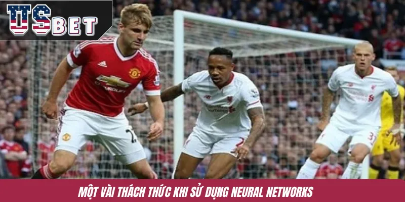 Một vài thách thức khi sử dụng Neural Networks