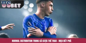 Normal Distribution Trong Cá Cược Thể Thao – Mẹo Bứt Phá