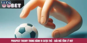 Prospect Theory Trong Hành Vi Cược Thủ – Giải Mã Tâm Lý Hot