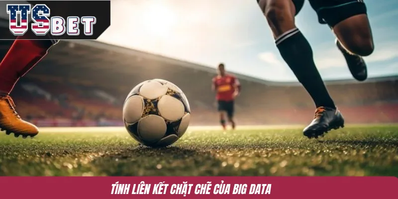 Tính liên kết chặt chẽ của Big Data 