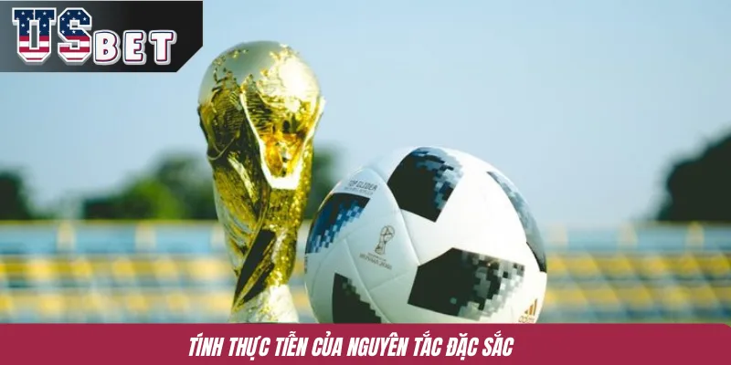 Tính thực tiễn của nguyên tắc đặc sắc