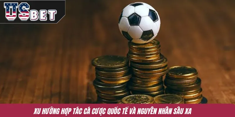 Xu hướng hợp tác cá cược quốc tế và nguyên nhân sâu xa