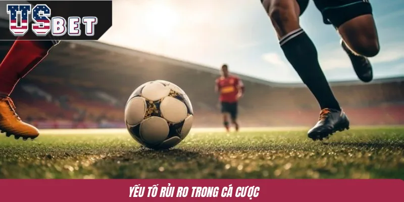 Yếu tố rủi ro trong cá cược 